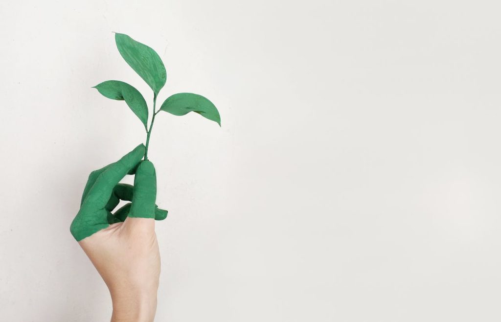 person-s-left-hand-holding-green-leaf-plant-886521 A hand painted green holds a fresh plant sprout against a light background, symbolizing growth and sustainability.